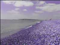 pochette album Freezing