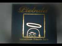 pochette album Chris rodgers