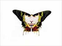 pochette album G.h.l.m.