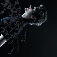 pochette album Dans la forêt des mal-aimés