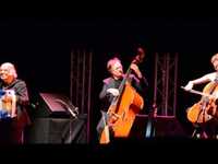 pochette album Alphonsine