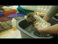 pochette album Information