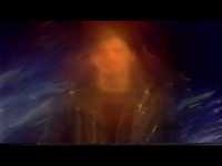 pochette album Shit for brains