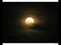 pochette album Followed by the moon