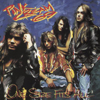 pochette album Where the eagle learns to fly