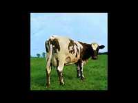 pochette album Alan's psychedelic breakfast