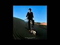 pochette album Raving and drooling [live]