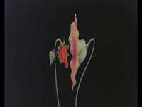 pochette album What shall we do now