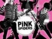 pochette album Sham on