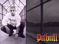 pochette album All 4 sale