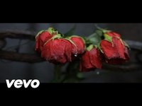 pochette album All and everyone