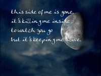 pochette album What have you done