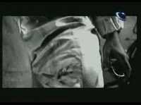 pochette album Everyday