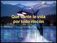 pochette album Que cante la vida