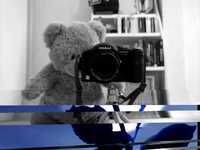 pochette album Te amo desde mi planeta