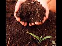 pochette album Te convido