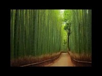 pochette album Todo lo que soy