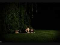 pochette album Willow tree