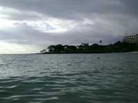 pochette album Insane