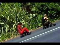 pochette album Bananas in the mist