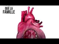 pochette album De la fenêtre au ter-ter