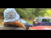 pochette album La petite voix