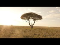 pochette album La vie est belle