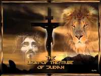 pochette album Song to the king