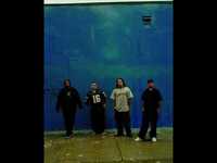 pochette album Follow me