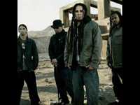 pochette album Roots in stereo