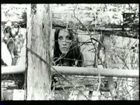 pochette album Wings