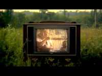 pochette album How you live