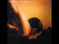 pochette album Radioactive toy