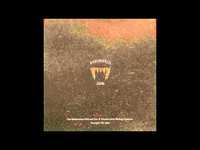 pochette album Endangered song [sumatran tiger]