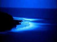 pochette album Coming right along