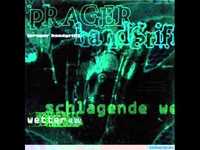 pochette album Schöne neue welt