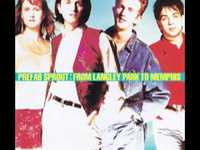 pochette album Nancy