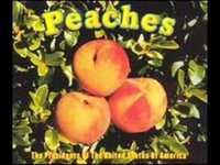 pochette album Candy cigarette