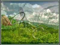 pochette album Bárbara del campo