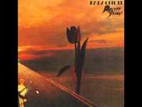 pochette album Cold stone