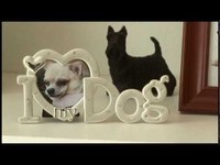 pochette album Emancipation