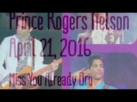 pochette album Mr. nelson