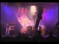 pochette album Strays of the world