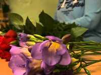 pochette album The daisy chain