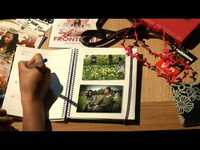 pochette album Butterflies