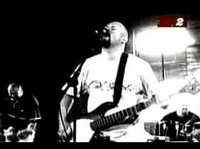 pochette album Down for the cause