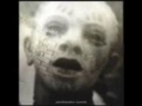 pochette album Harness pain