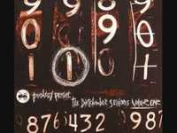 pochette album Bug powder dust