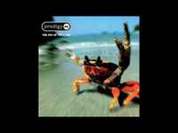 pochette album Diesel power