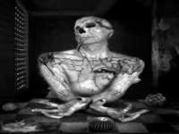 pochette album Fire and ice